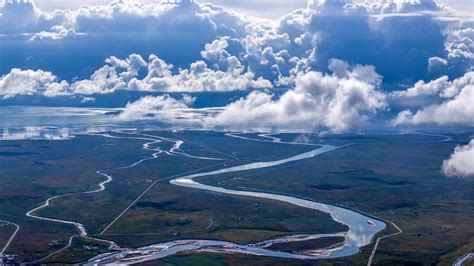 go fish china|Conservation efforts help rare fish flourish in China's largest lake.